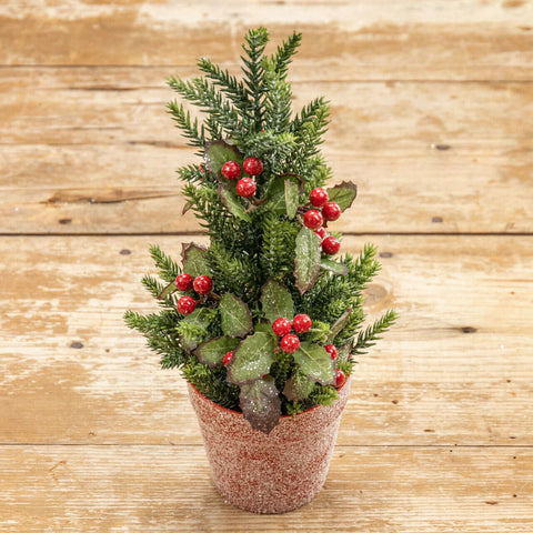 12" Potted Glittery Holly & Pine Tree