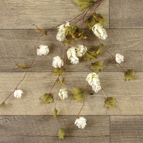 Cream Hops Stem - 39"