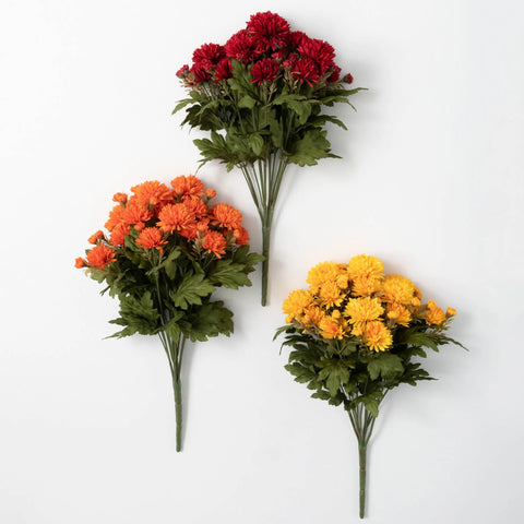 Mum Bush ( 3 Assorted colors )