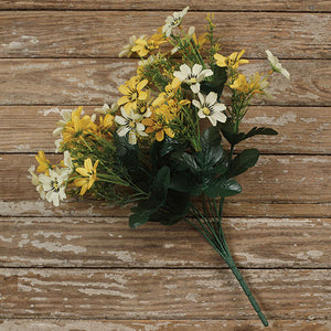 Yellow/Cream Cosmos Bush