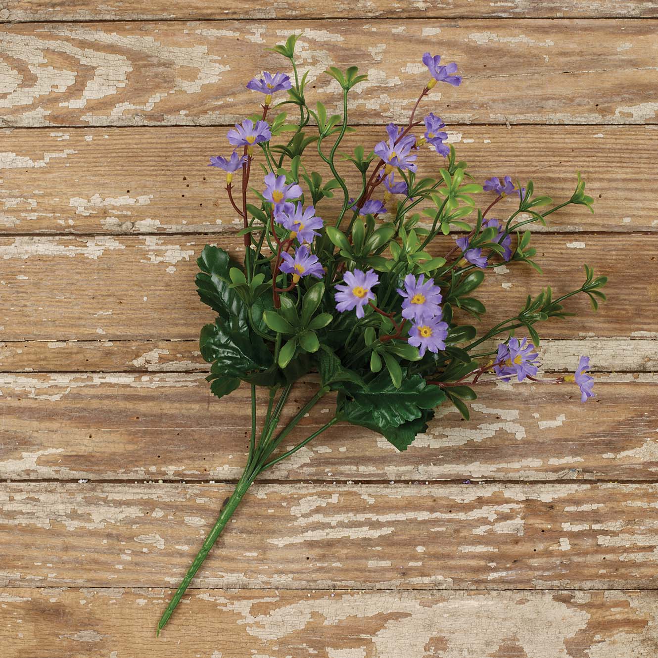 Purple Meadow Daisy Bunch