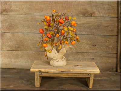 Small Willowing Pumpkin Tree