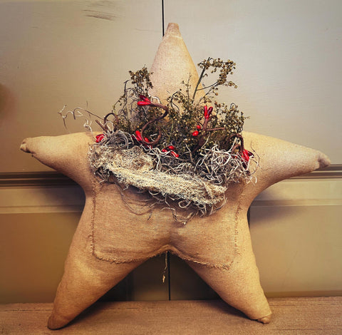 Fabric Star w/ Pocket & Berries