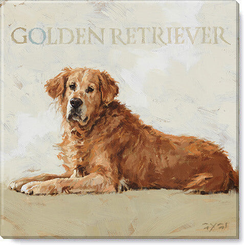 Golden retriever wall decor online