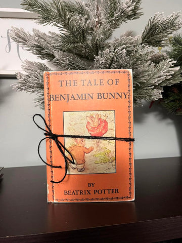 The Tale of Benjamin Bunny - Orange Book