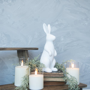 Beatrice Bunny