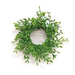 Fresh Sprouted English Boxwood Candle Ring
