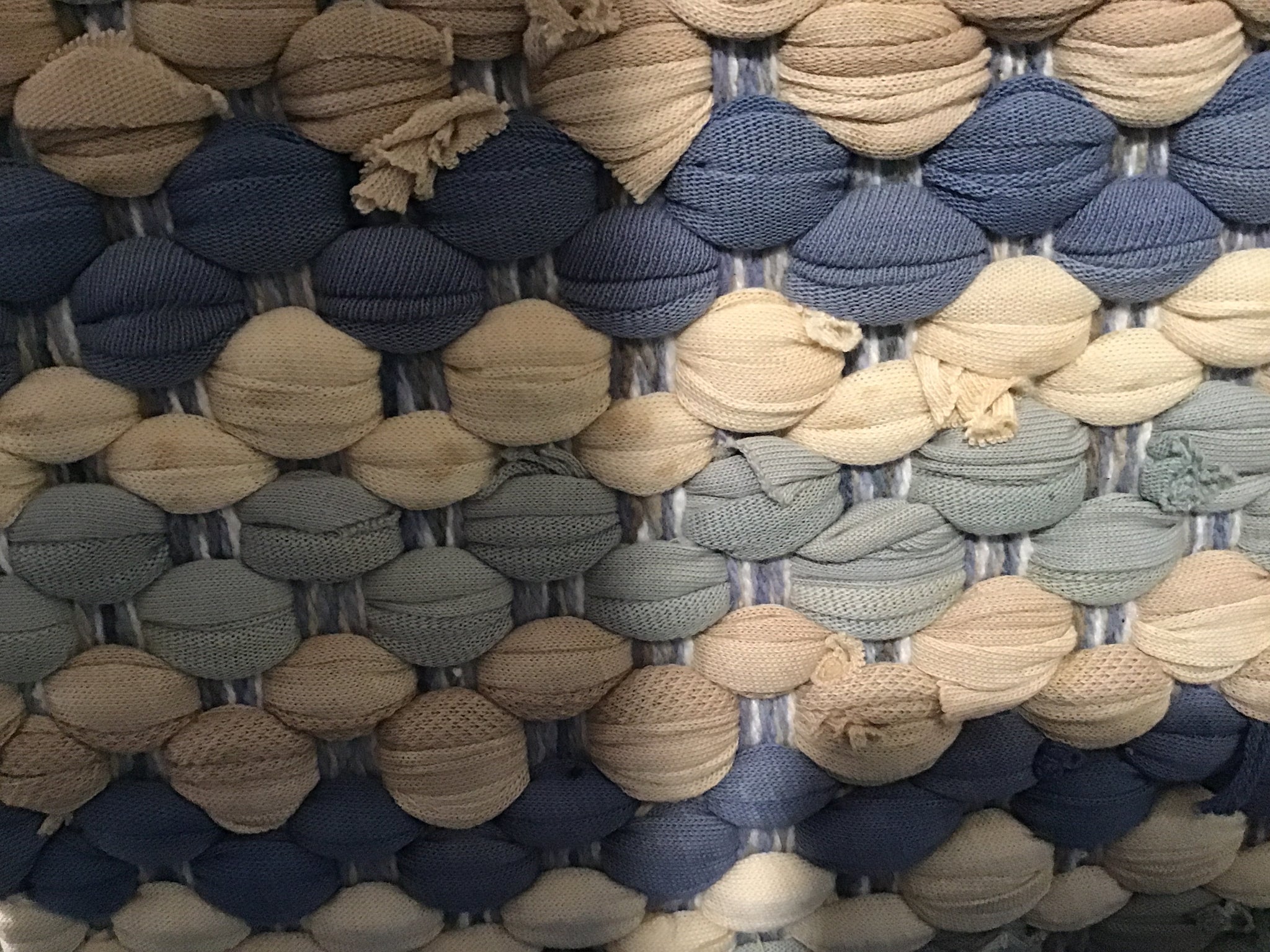 Williamsburg Aviary Chindi Placemat