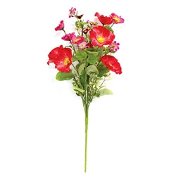 Sunset Poppy & Wildflower Bush