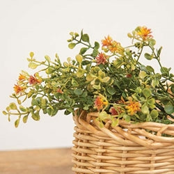Golden Buds & Baby's Grass Pick, 13"