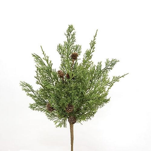Western Cedar & Pinecone Wreath, 24"