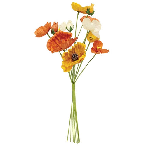 Orange, Cream, & Yellow Poppy Bush