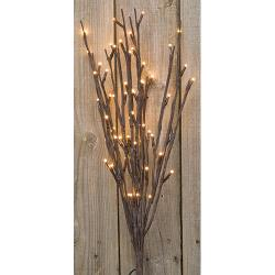 Willow Twigs