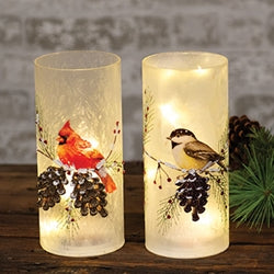 Frosted Winter Bird Glass Pillar