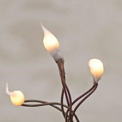 Teeny Lights, Farmhouse White,  35 Lights