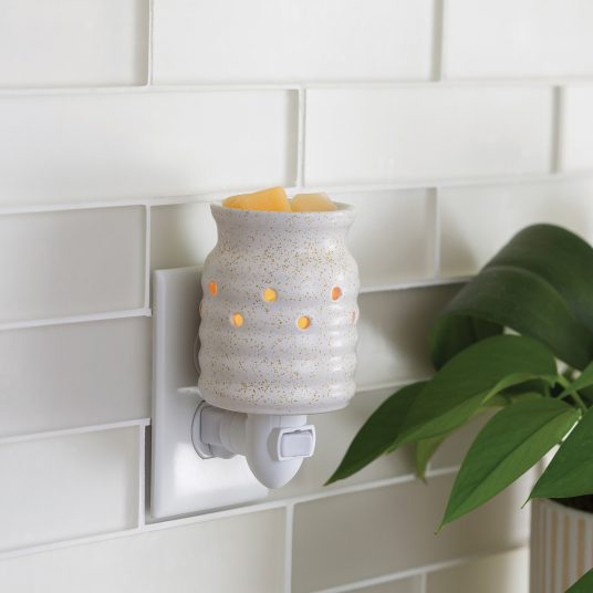 Farmhouse PLuggable Warmer