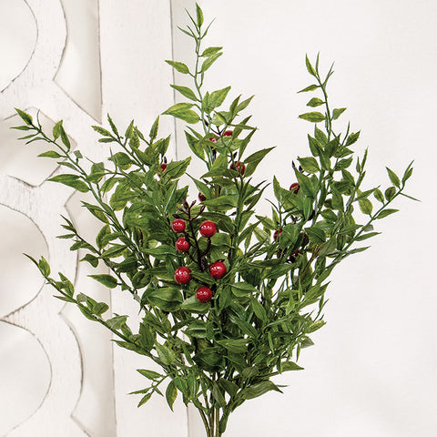 Lady Ruscus & Berries Bush, 12"