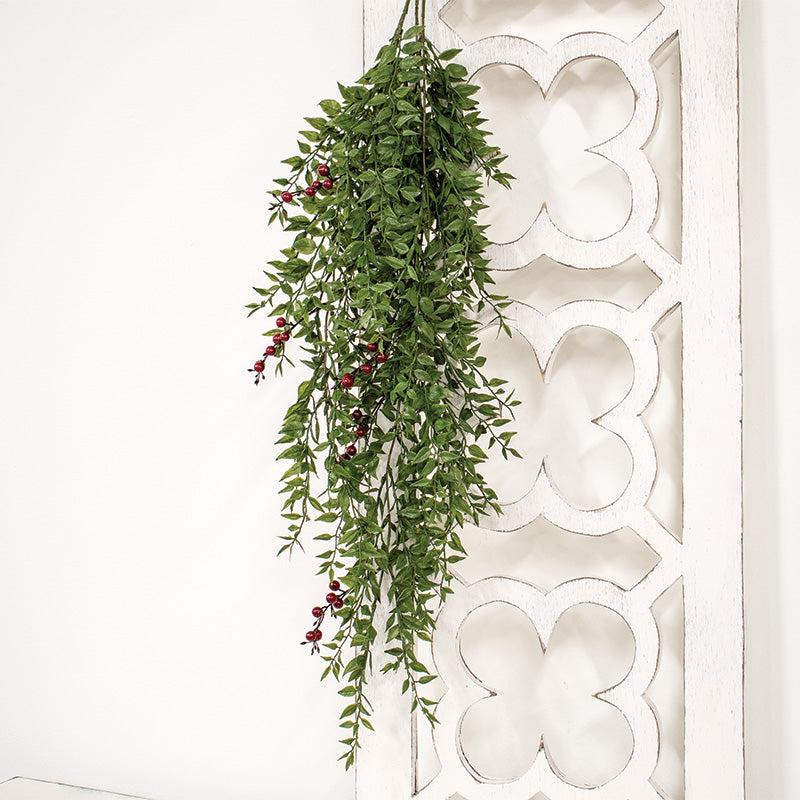 Lady Ruscus & Berries Hanging Bush, 36"