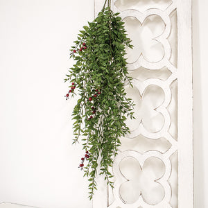 Lady Ruscus & Berries Hanging Bush, 36"
