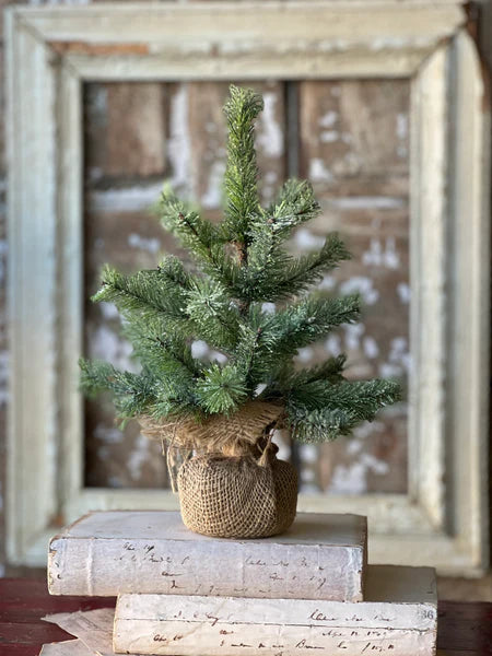 Icy Rocky Mountain Pine Tree | 12"