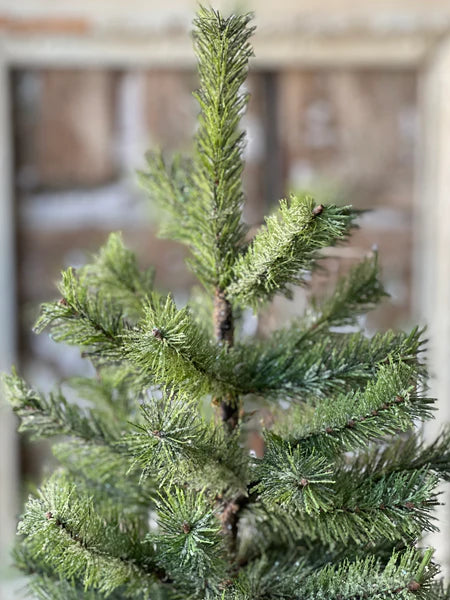 Icy Rocky Mountain Pine Tree | 18"