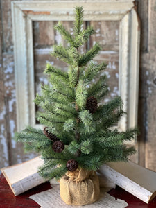 Rocky Mountain Pine Tree w/ice  | 24" / w/tree collar