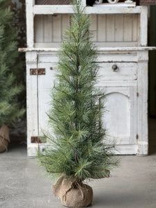 Timberline Pine Tree | 3' with Tree Collar