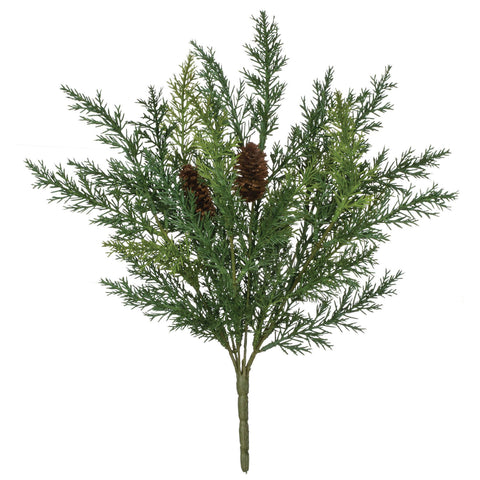Arborvitae Bush