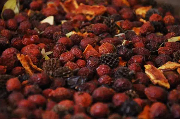 Maine Christmas - Large Bag Of Potpourri