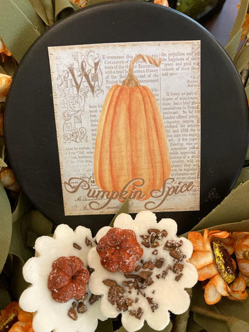 Soy Melting Tarts - Pumpkin Spice