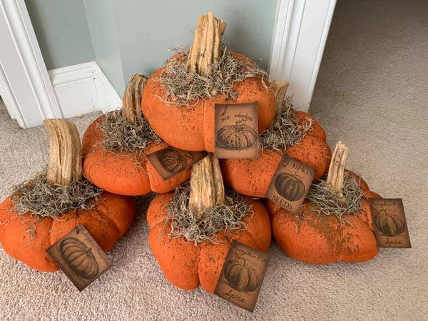 Fabric pumpkins with real stems.