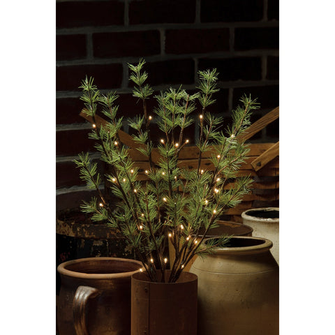 Pine Twig - 40L Small