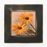 Daisy's - Framed Print - 10"
