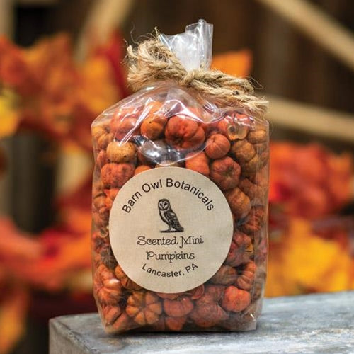 Scented Mini Pumpkins, 3 Cups