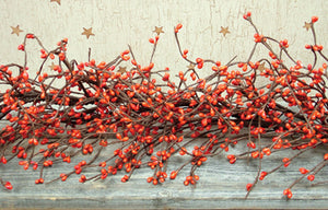 Pumpkin Pip Berry Garland