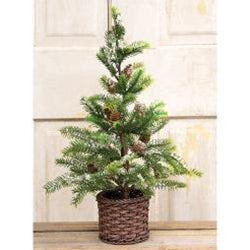 Snowy Cypress Tree in Willow Basket, 18"