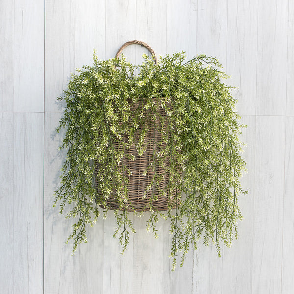 Boxwood Hanging Bush - 45"