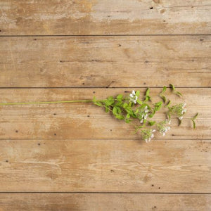 34" SOFT PINK WILD FLOWER SPRAY