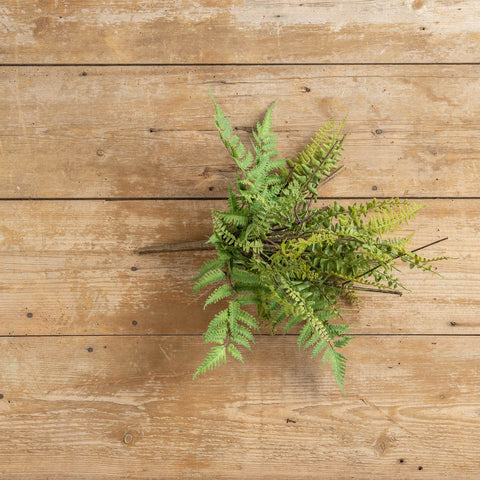 20" TWO TONE GREEN FERN BUSH