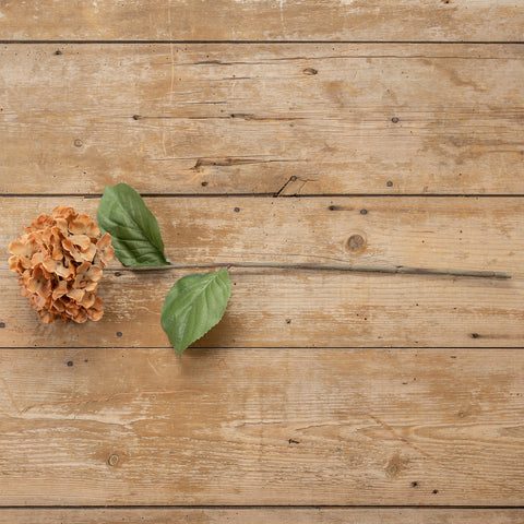 28" DUSTY ORANGE HYDRANGEA STEM