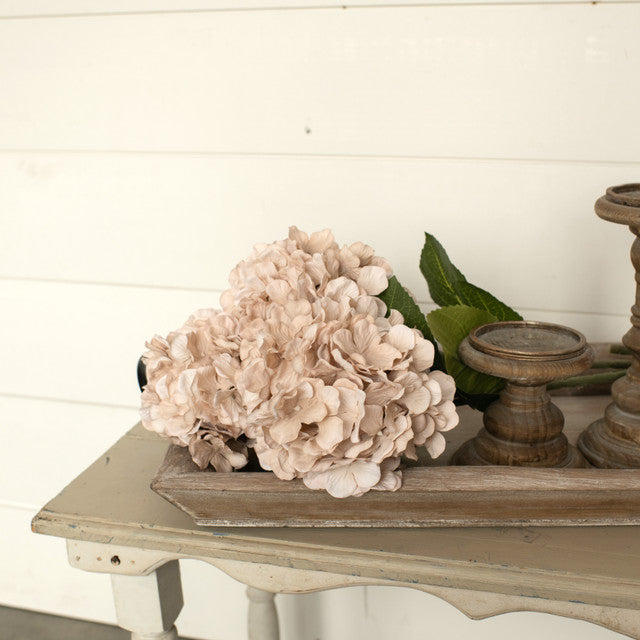 Autumn Cream Hydrangea Stem - 28"