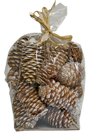 Snowy Pinecone Fillers, 6 oz.