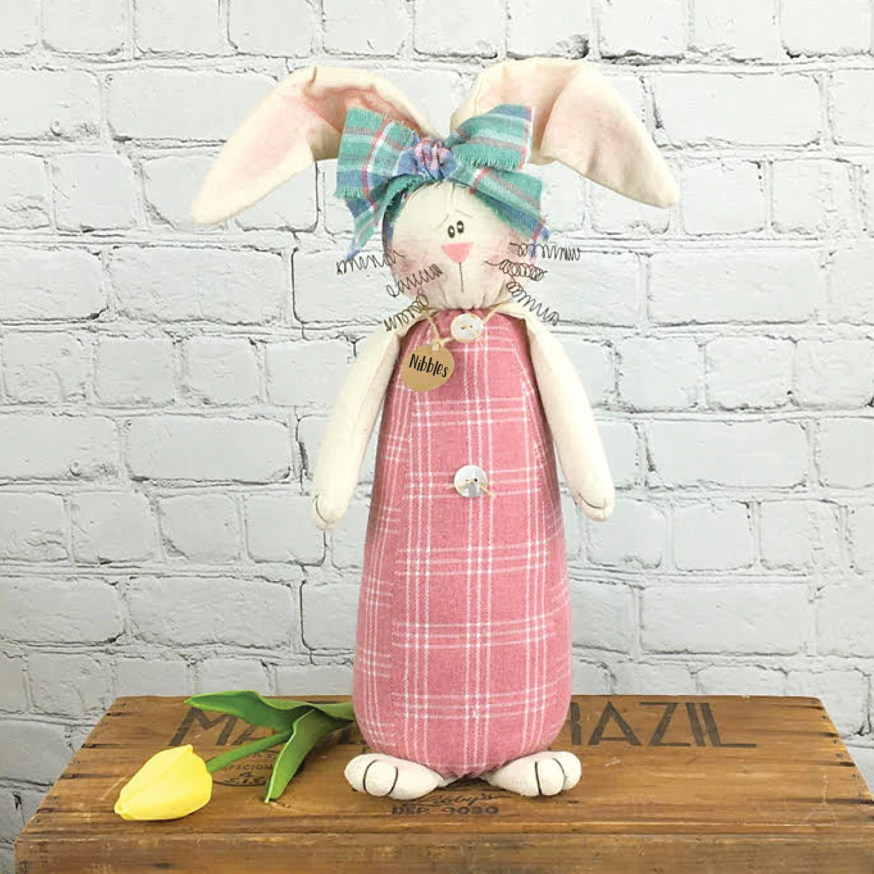 Nibbles the Bunny