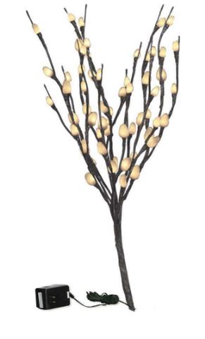 Pussy Willow Twig