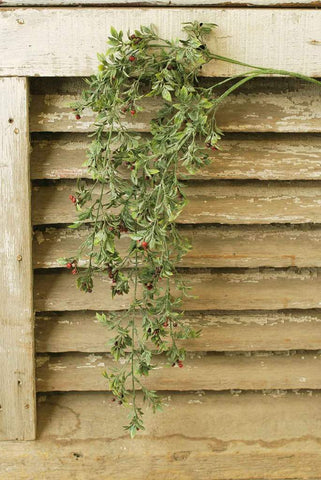 Teaberry Hanging