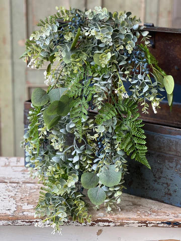 Seldom Seen Eucalyptus Hanging Bush