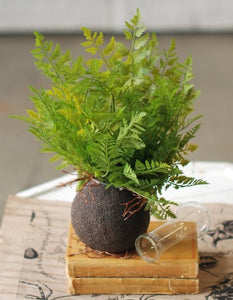 Rooted Fern Lace