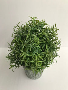 Star Grass Pot