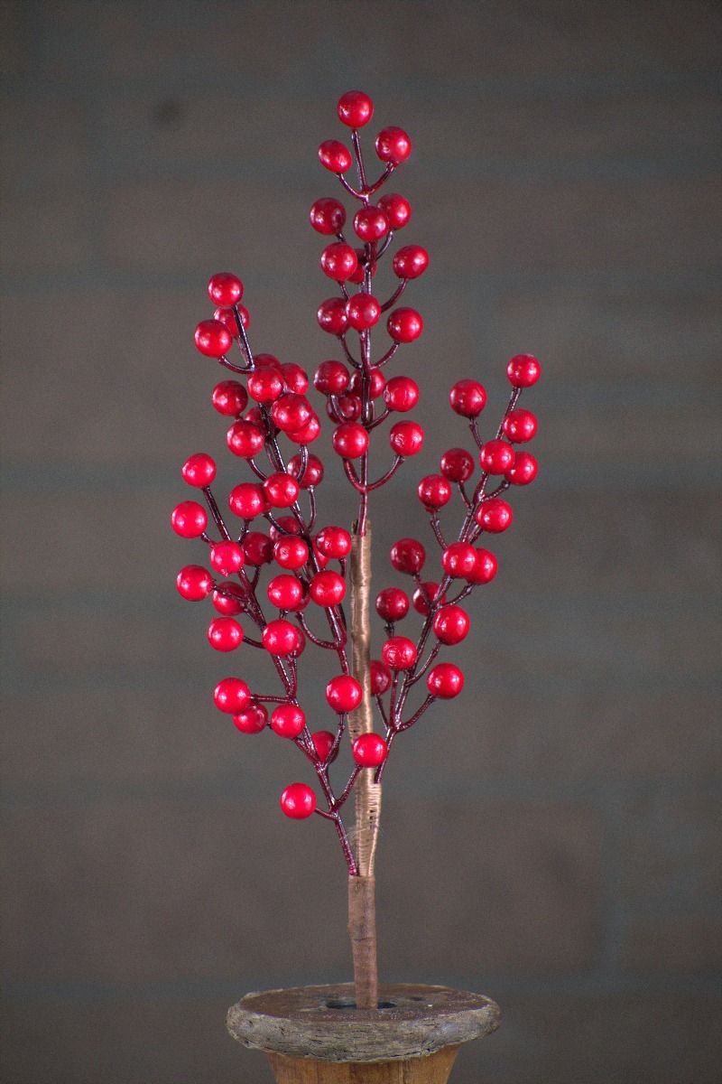 Red Berry