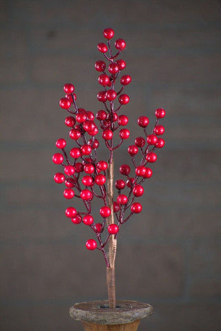 Red Berry